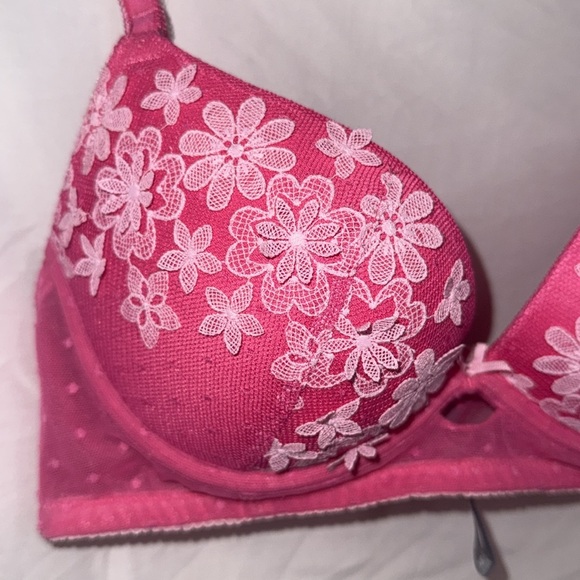 LIMITED EDITION Aerie Emma Push-Up Bra - Picture 2 of 7